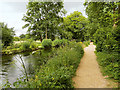 SU3227 : Mottisfont Abbey Gardens, Riverside Path by David Dixon