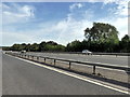 TQ5547 : A21 near Leigh by PAUL FARMER