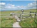 ST8951 : Westbury, kissing gate by Mike Faherty