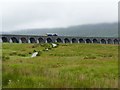 SD7579 : Diesel locomotive crossing the Ribblehead Viaduct by Graham Hogg