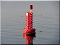 J4384 : Belfast Marker Buoy Number 2 by David Dixon