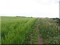 TA2369 : Cliff top footpath, Flamborough by Graham Robson