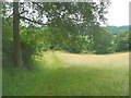 SO8606 : Footpath from Folly Lane to Slad Road by Humphrey Bolton