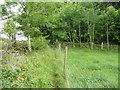 SO8607 : Footpath approaching nature reserve woodland, Slad by Humphrey Bolton