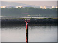 J3778 : Marker Pile Number 18 and RSPB Reserve, Belfast Harbour by David Dixon