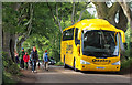 D0333 : Coach at the 'Dark Hedges' near Armoy by Rossographer