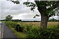 NS4039 : Farmland east of Knockentiber by Alan Reid