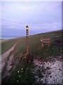 TV5695 : South Downs Way Footpath Sign by PAUL FARMER