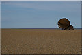 TM4657 : "The Scallop", Aldeburgh beach by Christopher Hilton