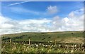 SD7993 : View over the Ure Valley by Graham Hogg