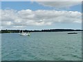 TM2038 : Potter's Reach, River Orwell, close to high tide by Christine Johnstone