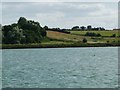 TM2337 : Western end of Man's Cliff, from the River Orwell by Christine Johnstone