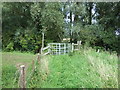 TL4871 : Footpath, River Great Ouse flood bank by JThomas