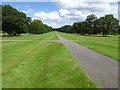 SJ8606 : Upper Avenue at Chillington Hall by Philip Halling