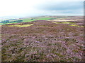 SD9831 : View from the summit of Shackleton Knoll, Wadsworth by Humphrey Bolton