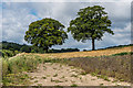 TQ0448 : Farmland near Albury Downs by Ian Capper