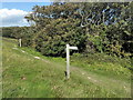 TV5897 : South Downs Way Bridleway Sign by PAUL FARMER