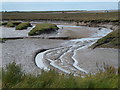 TF8044 : Large creek on Burnham Deepdale marsh by Richard Humphrey