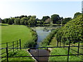 TQ8353 : Lake at Leeds Castle by PAUL FARMER