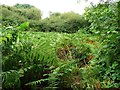 NZ6720 : Public footpath, Bennison Banks by Christine Johnstone