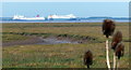 TA2220 : View west across Foulholme Sands and the Humber estuary by Mat Fascione