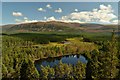 NH8302 : Inshriach Forest, Cairngorm National Park by Andrew Tryon