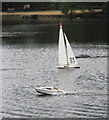 TQ0083 : Black Park Model Boat regatta - yacht and powerboat by David Hawgood