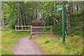 NH9022 : Glencharnoch Wood Walk, Carrbridge by Jim Barton