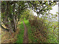 NH5558 : Path beside the Cromarty Firth by valenta