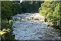 SE0188 : High Force, Aysgarth by Alan Murray-Rust