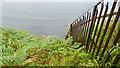  : Cliff edge and Moray Firth, South Sutor by Julian Paren