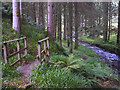 NT3308 : Footbridge by the Aithouse Burn by Karl and Ali