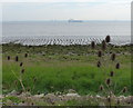 TA2517 : View across the Humber estuary by Mat Fascione