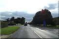 TL8783 : Croxton Road, Thetford by Geographer