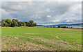 NH5548 : Beauly Firth by valenta