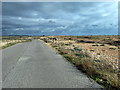 TQ9417 : Access road at Rye Harbour Nature Reserve by PAUL FARMER