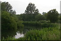 TL4612 : River Stort below Harlow Mill by Christopher Hilton