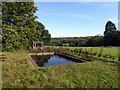 TQ6835 : Outdoor Swimming Pool, Scotney Castle by PAUL FARMER