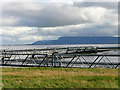 C5422 : Light Gantry in Lough Foyle by David Dixon