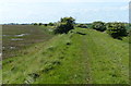 TA3418 : Flood defences at the Welwick Saltmarsh Nature Reserve by Mat Fascione