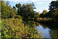 TL4612 : River Stort below Harlow Mill by Christopher Hilton