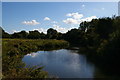 TL4612 : River Stort below Harlow Mill by Christopher Hilton