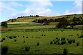 SD8019 : View from the Access Lane to Hay Meadow by Chris Heaton