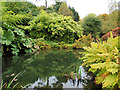 TQ4551 : Fishpond at Chartwell by Paul Gillett