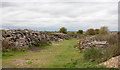 TL7750 : Timber stacks beside Shadowbush Farm by Trevor Littlewood