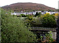 ST0092 : Hillside view from Bridge Street, Tonypandy by Jaggery