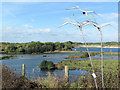 SP9313 : Iron Birds over the Marsh at College Lake by Chris Reynolds