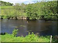 SJ1443 : Fisherman in the Dee  by Stephen Craven