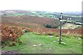 SJ1663 : The Clwydian Way north of Moel Famau by Jeff Buck