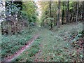 SU9312 : Footpath in Droke Hanger by Peter Holmes